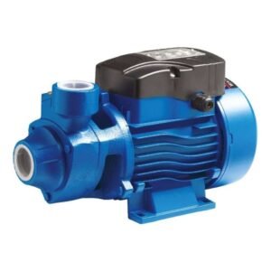 BMS QBm80 Santrifüj Preferikal Pompa